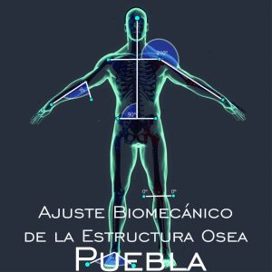 Ajuste Biomecánico de la Estructura Osea en Puebla
